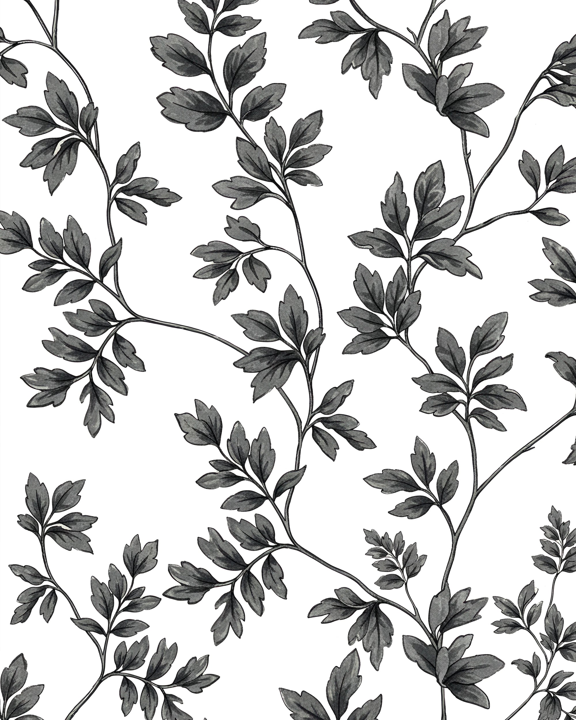 Midnight Ivy Monochrome Wallpaper