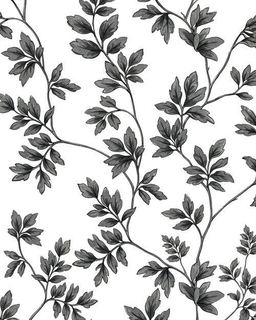 Black leafy branch pattern on a white background by Buffalo Bunny.