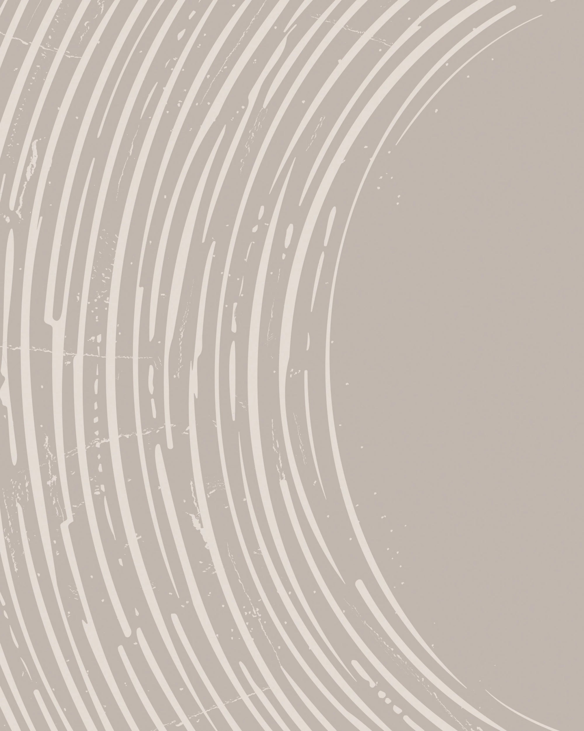 Close-up of a tree trunk with concentric rings on a gray background by Buffalo Bunny.