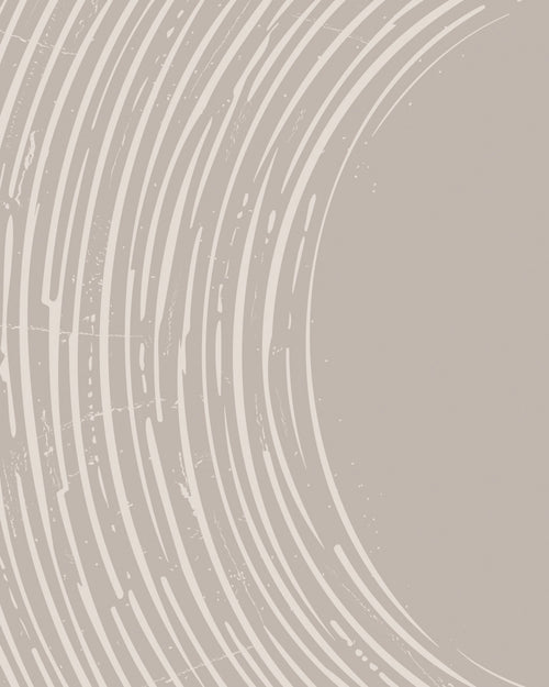 Close-up of a tree trunk with concentric rings on a gray background by Buffalo Bunny.